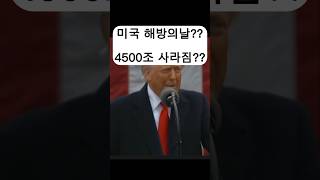 #관세전쟁 #관세 #미국이슈 #미국 #해방의날 #전세계 #패닉 #주식손실 #떡락