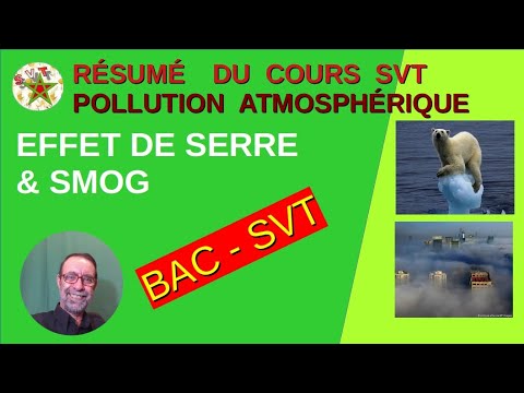 Vidéo: La Réduction Du Smog En Amérique A Considérablement Ralenti - Vue Alternative