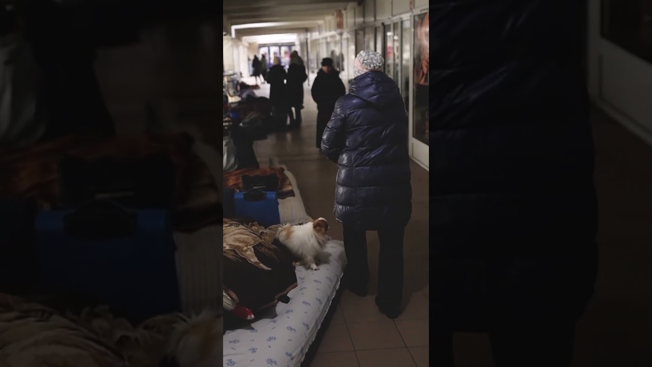 Ukrainian cities face renewed Russian missile strikes | REUTERS