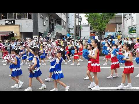第４９回 神戸まつりメインフェスティバルおまつりパレード