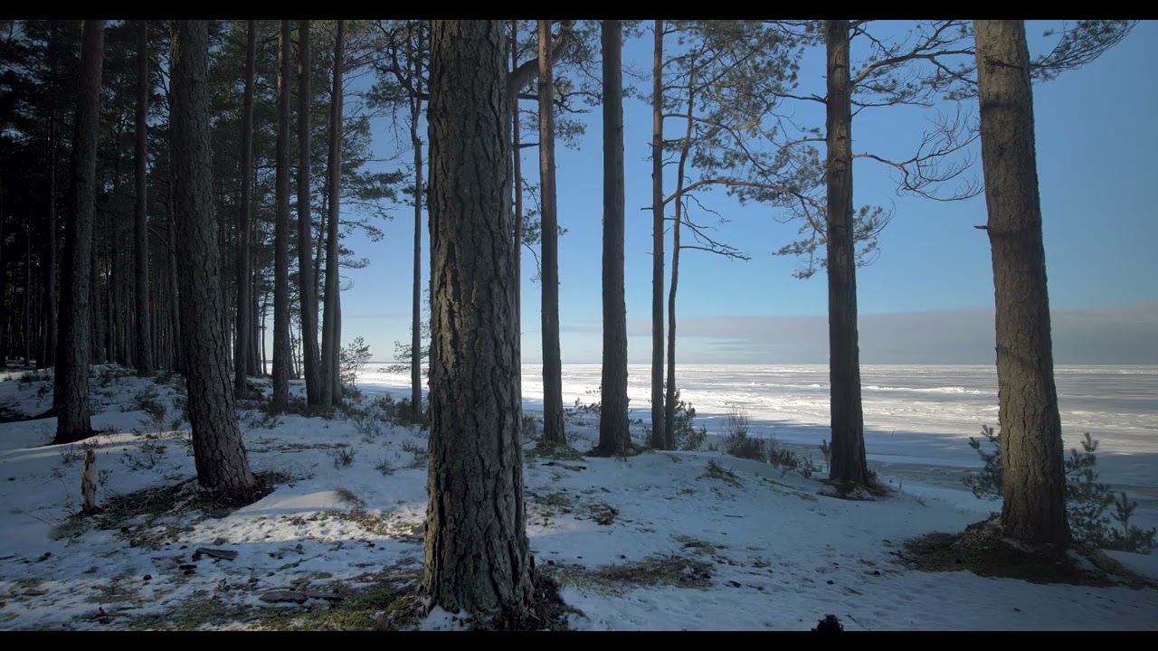 Winter Sea Ambience for Sleep and  relaxation | Natural Pink Noise