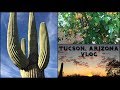 RAW VEGAN in Alaska:  Tucson, Arizona VLOG