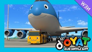 Tayo S6 EP9 My friend Cargo l Tayo's New plane buddy l Tayo English Episodes l Tayo the Little Bus | screenshot 5