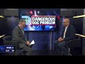 Dallas Animal Services director reacts to new dangerous dog law