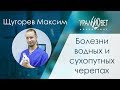 Болезни водных и сухопутных черепах. Щугорев Максим #убвк_экзотические_животные