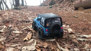 MST CFX JEEP YJ