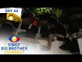 Day 44: Kuya, pinatayan ng ilaw ang mga housemates | PBB Connect
