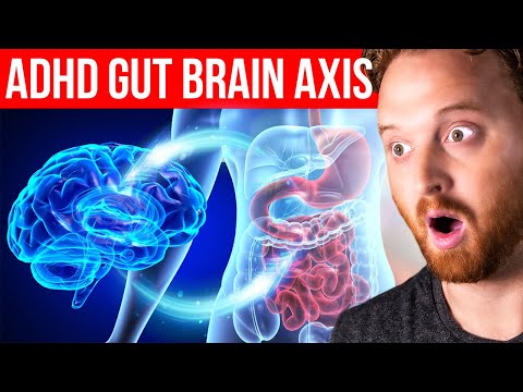 The Gut Brain Axis Connection To ADHD thumbnail