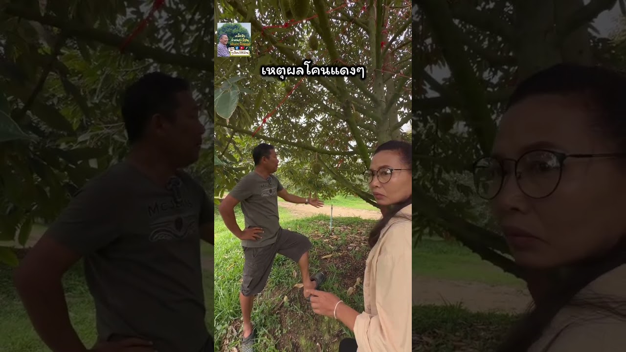 2 มีนาคม 2569