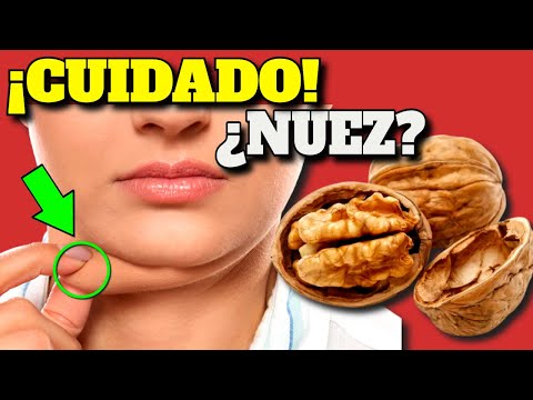 Video: Efectos de Buckeye Nuts en perros