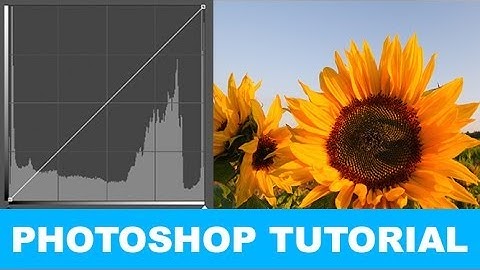 How to use the Curves Adjustment Tool in Photoshop (Create any color effect you want!)