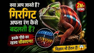 गिरगिट अपना रंग कैसे बदलती है। गिरगिट रंग कैसे बदलती है। क्या है गिरगिट की सच्चाई #amazingfacts 