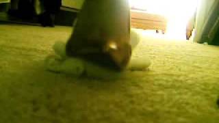Stomping Stuffed Animal, Heels And Feet Stomping Stuffed Animal, Heels And Feet