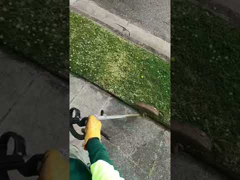 Edging this lawn