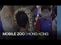 Mobile Zoo | Hong Kong