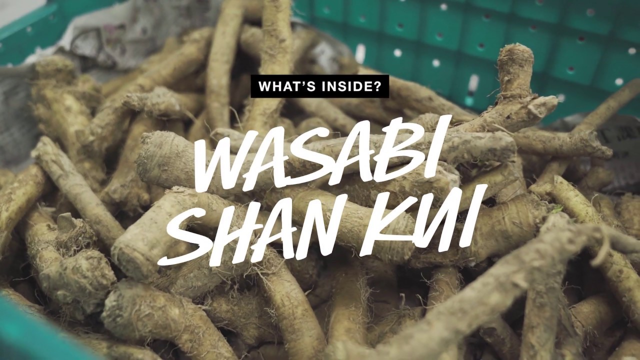 What's Inside? リキッドシャンプー『ワビサビ シャン クイ』 | LUSH