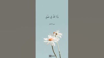 واصبر وما صبرك إلا بالله .. فارس عباد .. من سورة النحل