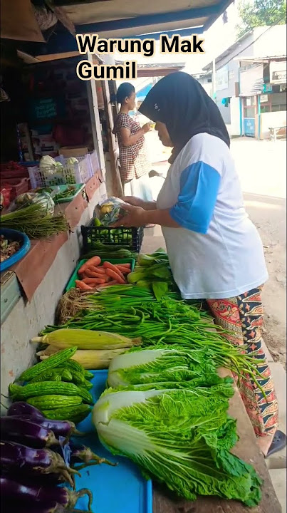IYEk kucing kesayangan Emak.#kucingkampung #makgumil