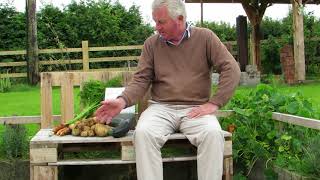 Sobac For The Soil, For A Long Time