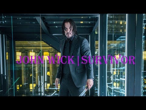 John Wick | Survivor