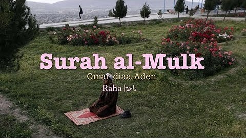 Surah al-Mulk (full) Omar diaa Aden no echo | سورة الملك (كاملة) عمر ضياء الدين بدون مؤثرات صوتية