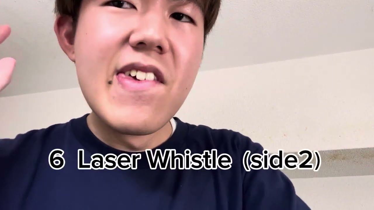 【１】Unique whistle sounds best10 