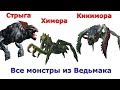 Ведьмак – сравнение всех монстров