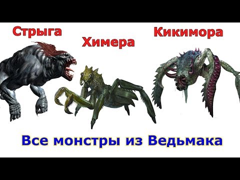 Видео: Ведьмак – сравнение всех монстров