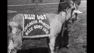 GoatBusters Final Pitch Trailer 5 23 2016 315pm