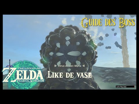 Intrus du parc Mipha: Like de vase || Guide des Boss De Zelda TOTK