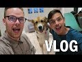 We Adopted a Dog!! (Vlog #36)