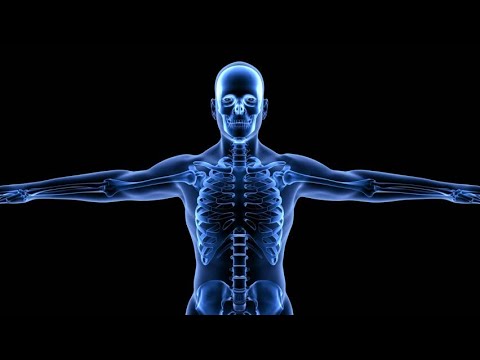 ადამიანის ორგანიზმი