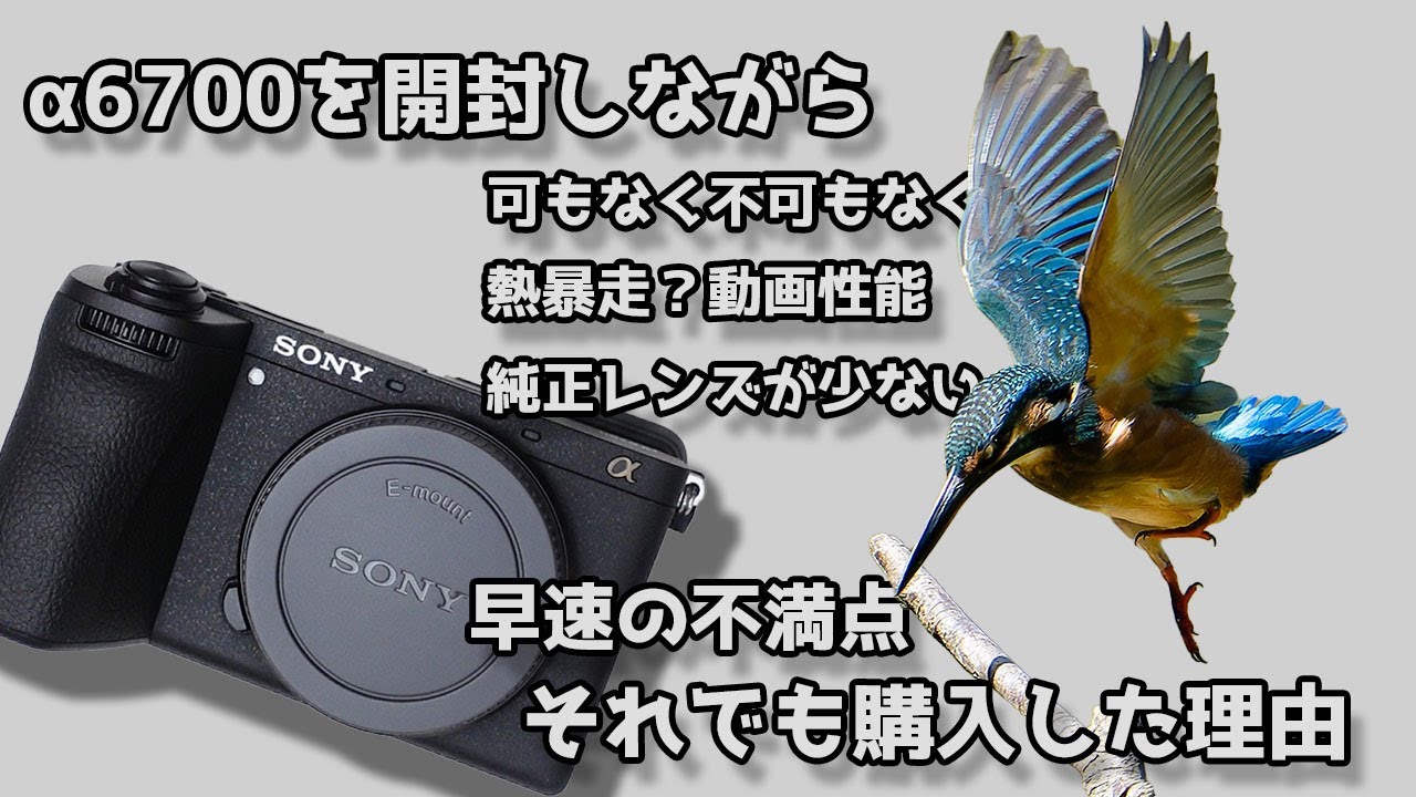 開封雑談】α6700に色々文句言ってたのにそれでも購入した理由 a6700は 