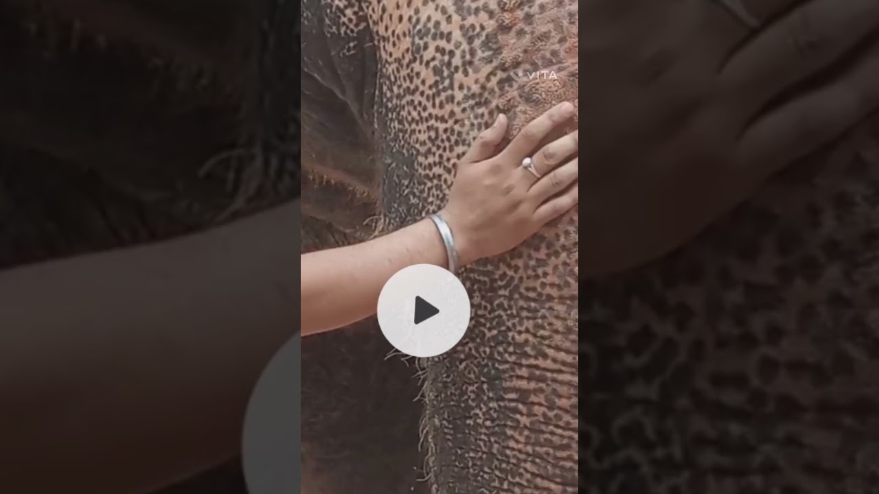 Give him a 'Kadha' and he will never take it off || Ashish Ramtari