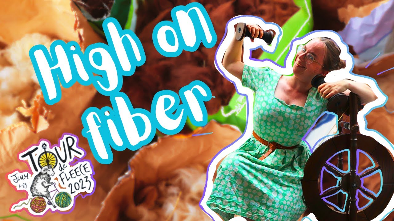 Tour de Fleece vlog 3: My Wool and Fiber Diaries