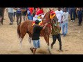 72° Festa do Vaqueiro de Oeiras Piauí - a Capital do Turfe do Piauí.