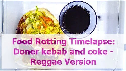 Food Rotting Timelapse: Doner kebab and coke - Reggae Version
