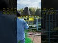 市川動植物園・サル山の囲いネット、皆さんはどう思いますか?What are your thoughts on the new fencing around Monkey Mountain?