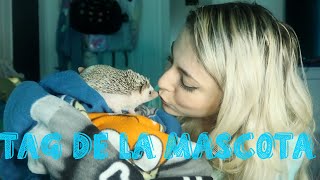 TAG DE LA MASCOTA con LUNA... ¡mi ERIZA! | Cande Copello