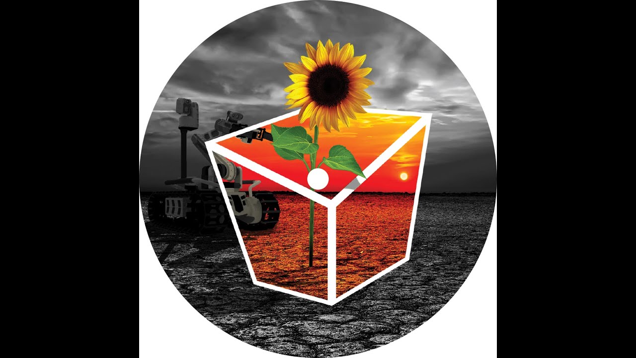 Sounds Of The Suburbs - Love, Innit? (2020 Tech House Vinyl)