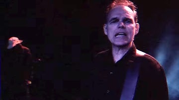 First Signal (Harry Hess) -  "Shoot The Bullet" - Official Music Video