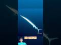 Top 5 Most Dangerous Deep Sea Creatures – The Last One Will Shock You#youtubeshorts​ #shorts​