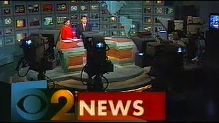 WCBS Channel 2 News - 11/9/93