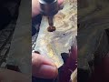 الأدوات والآلات الجيدة تجعل العمل أسهل.