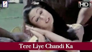 तेरह लिए चांदी का बांगला Tere Liye Chandi Ka Bangla Lyrics in Hindi