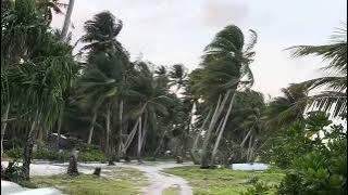 Mili Mili 🌴