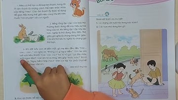Tiếng Việt-L2-CÁNH DIỀU | Bài 19: Bạn trong nhà | BÀI ĐỌC: Mỗi loài một cách nói | AnnA