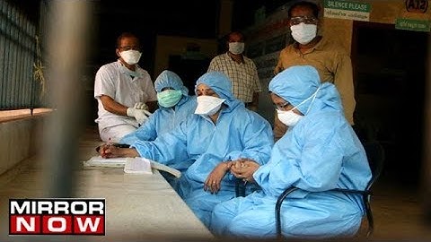Fruit Bats Blamed For Nipah Virus Outbreak In Kerala