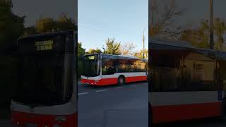 |Daily 216.2| jak tamten samochód zadymił #wybijsie #950
