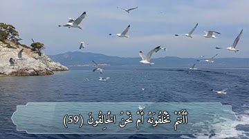 🎙 سورة الواقعه كامله